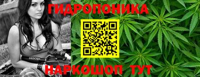 спиды Гусев