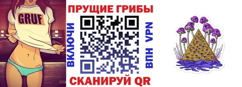 как найти наркотики Каспийск Псилоцибиновые грибы Psilocybine cubensis