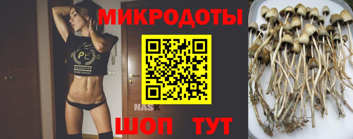 Галлюциногенные грибы мухоморы Каспийск