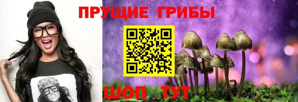 Каспийск  Псилоцибиновые грибы прущие грибы  купить  сайты  Вход с VPN  Псилоцибиновые грибы Cubensis 