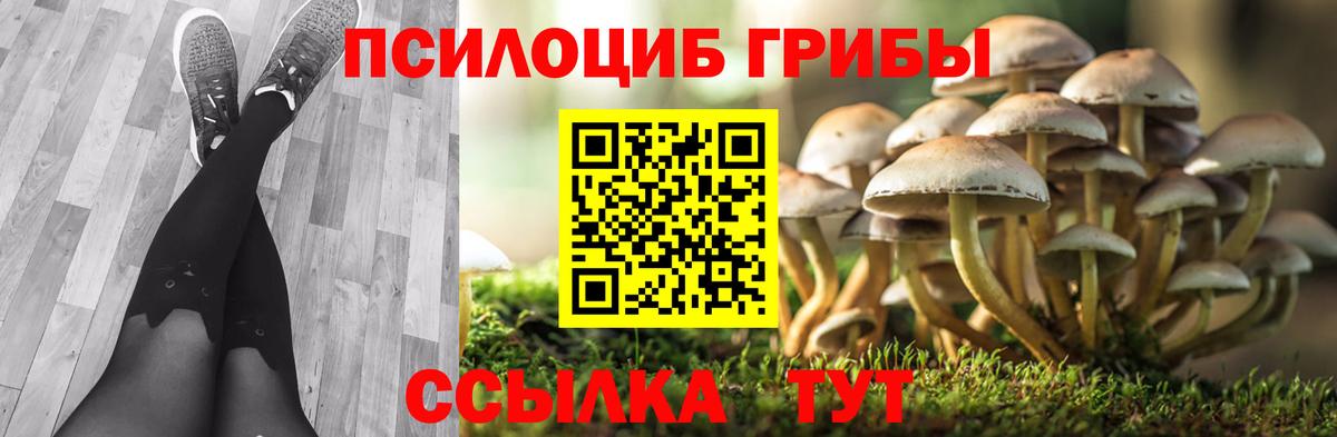 Псилоцибиновые грибы Magic Shrooms  Каспийск  Галлюциногенные грибы Psilocybe 