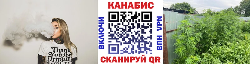 Бошки Шишки MAZAR Каспийск
